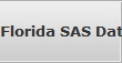 Florida SAS Data Recovery