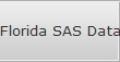 Florida SAS Data Recovery
