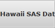Hawaii SAS Data Recovery