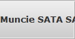 Muncie SATA SAS NAS Raid Hard Drive Data Recovery Services